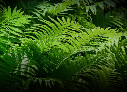 pp电子游戏试玩(中国)官方网站