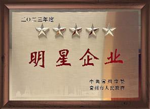 65e5778c4108b 五星明星企业