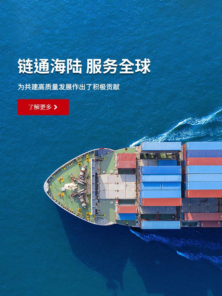 65d471e6df42c 常州大奖国际18dj18官方网站国际集装箱有限公司